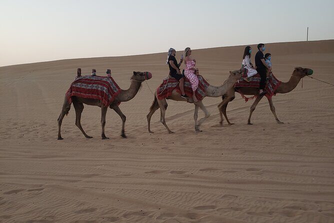 Desert Safari Dubai with Buffet Dinner & 3 live shows - Practical Details and Tips
