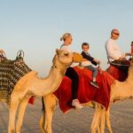 Desert Safari Dubai With Quad Bike ,camel Ride, bbq Dinner, Live Show's - Visits to a Camel Farm and Cultural Stops