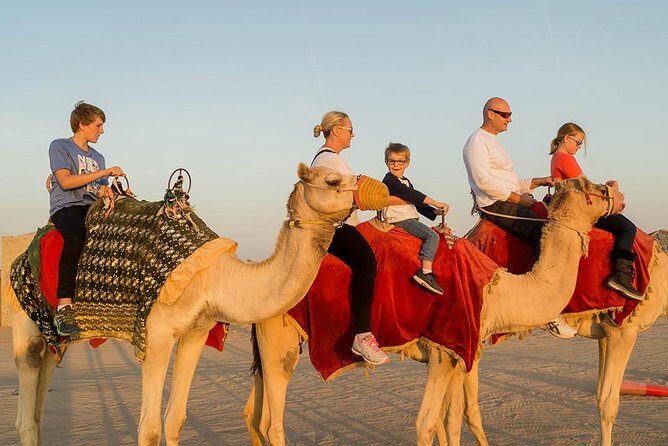 Desert Safari Dubai With Quad Bike ,camel Ride, bbq Dinner, Live Show's - Visits to a Camel Farm and Cultural Stops