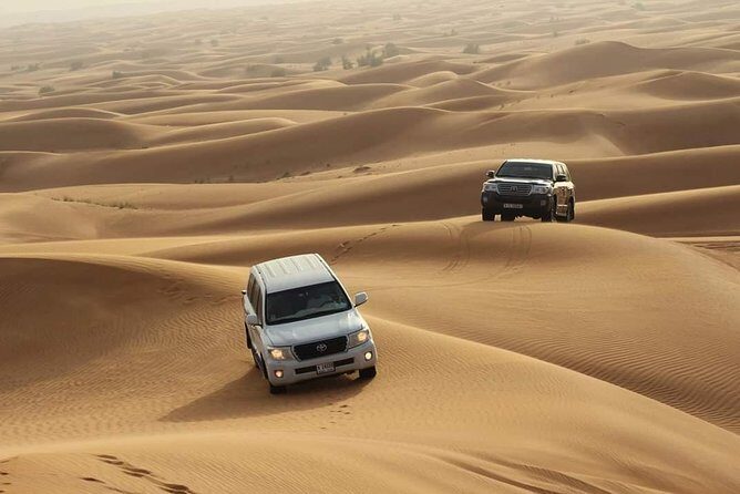 Desert Safari : free Sandboarding, Camel Riding,BBQ Dinner + Live activities - What Travelers Say: Authentic Insights