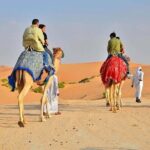 Desert Safari in 4x4 Shared Vehicle VIP Experience - Who Will Love This Tour?