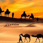 Desert Safari in a 4 x 4 with Sand Ski and Camel Ride from Dubai - Practical Details and Tips