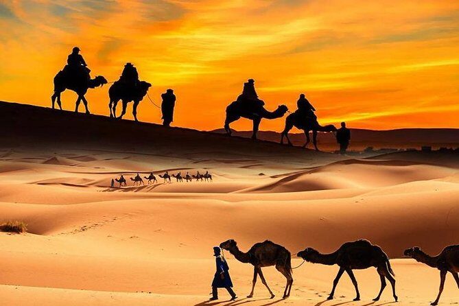 Desert Safari in a 4 x 4 with Sand Ski and Camel Ride from Dubai - Practical Details and Tips