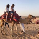 Desert Safari in Dubai - Why Reviewers Love This Tour