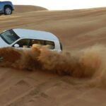 Desert safari in Dubai Red Dunes with BBQ VEG Dinner & Quad Bike - Final Thoughts: Who Will Love This Tour?