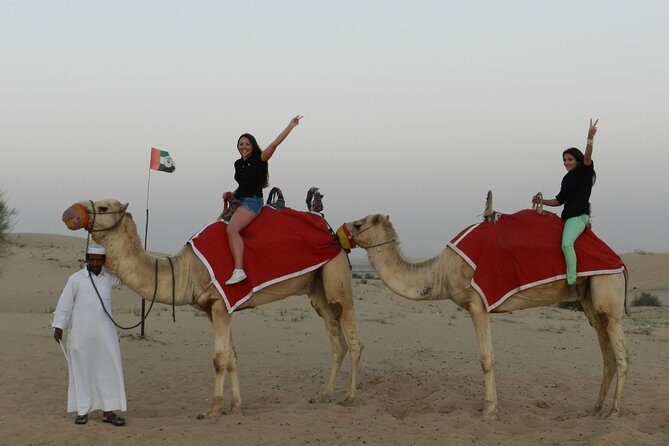 Desert Safari in Dubai Red Dunes with BBQ VEG Dinner - What Makes This Tour Stand Out?