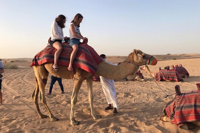 Desert Safari in Dubai - Why Reviewers Love This Tour