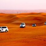 Desert Safari -Live Shows, BBQ Dinner, Dune Bashing and lot more. - Highlights Drawn from Real Reviews