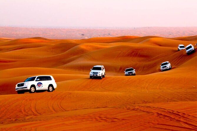 Desert Safari -Live Shows, BBQ Dinner, Dune Bashing and lot more. - Highlights Drawn from Real Reviews