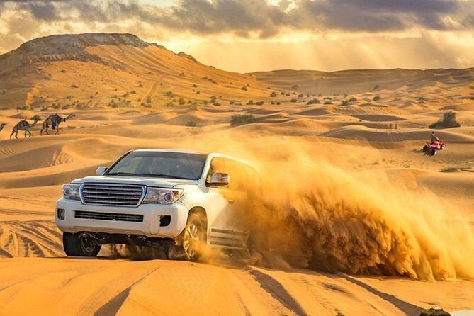 Desert Safari Morning with Camel Ride and Sand Boarding - What’s Included and What’s Not