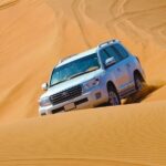 Desert Safari Premium Adventure with Pickup included - What the Reviews Tell Us