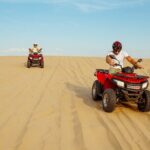 Desert Safari Quad Bike and Camel Experience with BBQ Dinner - What to Expect: From Dunes to Dinner