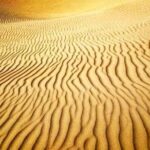 Desert Safari Red Dunes with Camel Ride, Sandboard, BBQ and Shows - Final Thoughts