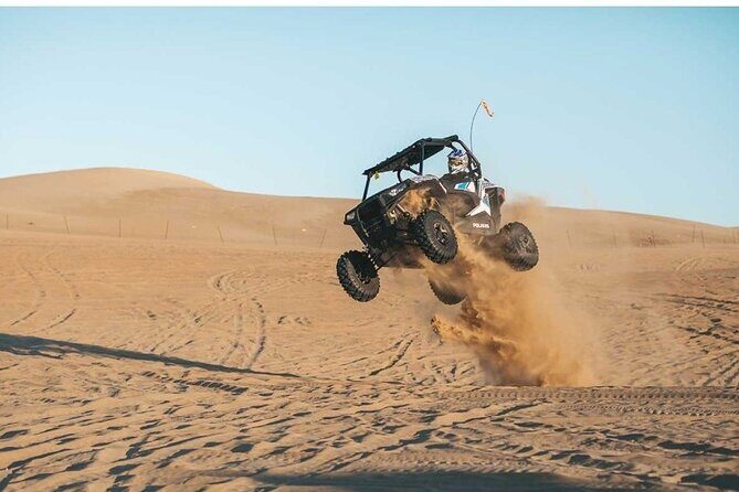 Desert Safari with 30 minutes Buggy Ride with Camel Ride & Dinner - The Itinerary in Detail