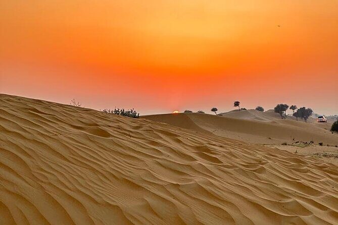 Desert Safari With Bab Al Shams Camp - In-Depth Look at the Desert Safari Experience