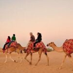 Desert Safari with BBQ Dinner, Camel Ride, Sand Board & Live Show - The Itinerary: What to Expect at Each Stop