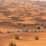 Desert Safari With BBQ Dinner, Quad Bike & Camel Ride from Dubai - The Sum Up