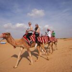 Desert Safari with Camel Ride, BBQ Dinner, Sand Board & Live Show - Who Would Enjoy This Tour?