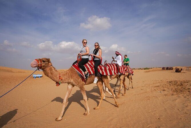 Desert Safari with Camel Ride, BBQ Dinner, Sand Board & Live Show - Who Would Enjoy This Tour?