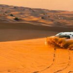 Desert Safari with Camel Riding and BBQ Dinner - The Value of the Experience