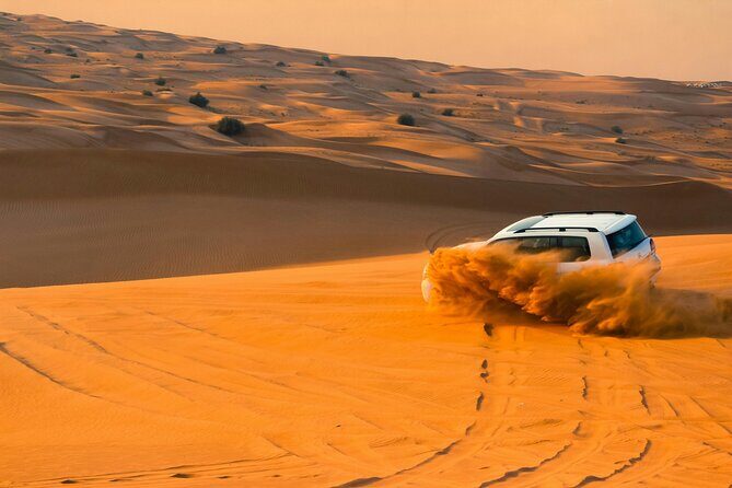 Desert Safari with Camel Riding and BBQ Dinner - The Value of the Experience