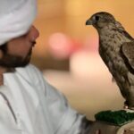 Desert Safari with Dune Bashing and Camel Ride plus Sand Boarding - Practical Details and Tips