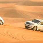 Desert Safari with Dune bashing BBQ Dinner and More Activities - Guides and Support Staff: Who Makes the Difference?