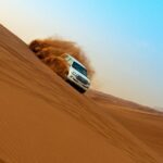 Desert Safari with Entertainment & BBQ Dinner-Heritage Camp - Practical Details and Tips