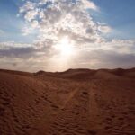 Desert Safari with Red Dune Buggy and Camel Ride Dubai - Why This Tour Offers Great Value