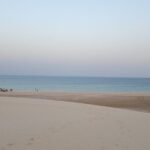 Desert Safari with Sandboarding and Inland Sea Private Tour - The Value for Money