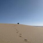 Desert Sahara Sand Dunes in Agadir - Price & Value Analysis