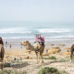 Desert Sand Boarding Tour from Agadir or taghazout - Authentic Experiences and Special Highlights
