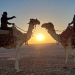 Desert & Sea Adventure  3-Hour Horse or Camel Riding Experience - What the Experience Entails
