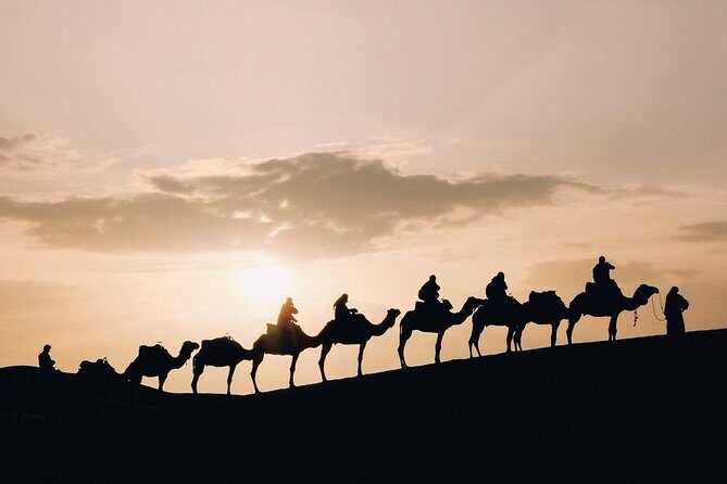 Desert Sunset Camel Ride With Free Tea in The Desert Camp - The Camp and After the Ride