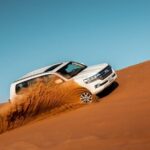 Desert Thrills: Evening Safari with Quad Bike & Camp Activities - Final Thoughts: Who Will Love This Tour?