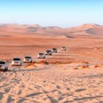 Desert Thrills Wild Dunes Safari in Doha - Who Is This Tour Best Suited For?