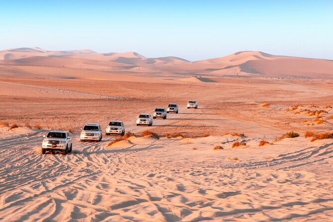 Desert Thrills Wild Dunes Safari in Doha - Who Is This Tour Best Suited For?