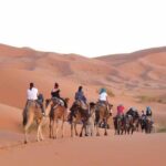 Desert Tour From Fez To Marrakech 3 Days / 2 Nights - Who Would Love This Tour?