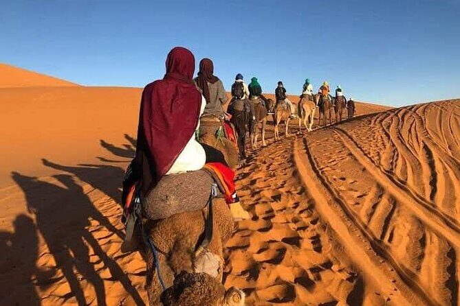 Desert tour from marrakech - What Makes This Tour Stand Out?