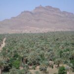 Desert Tour Marrakech Merzouga 3 days / 2 nights - The Sum Up: Who Will Love This Tour?