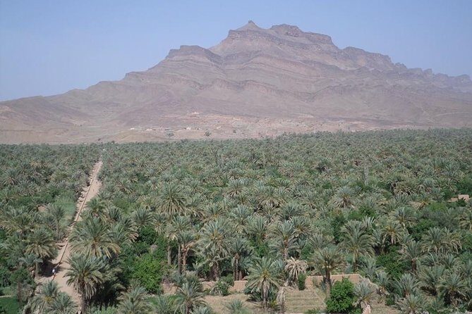 Desert Tour Marrakech Merzouga 3 days / 2 nights - The Sum Up: Who Will Love This Tour?