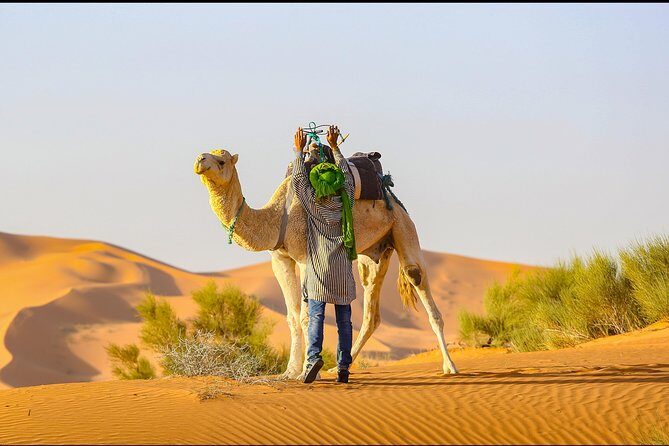 Desert Tour Ouarzazate CHEGAGA 2 Days/ 1 night - Transportation & Group Size