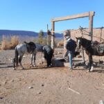 Desert Trail in Morocco on Horseback - What’s Included and What to Expect