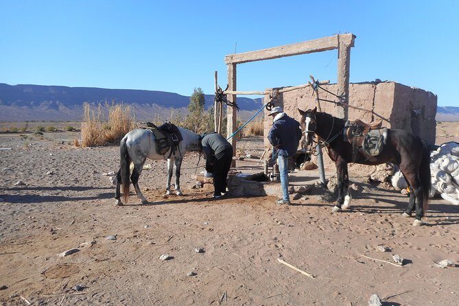 Desert Trail in Morocco on Horseback - What’s Included and What to Expect