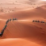 Desert Trip:Fès-Merzouga(1 Night)-Ouarzazat(1 Night)-Marrakech - What Sets This Tour Apart