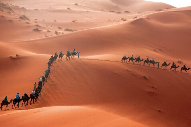 Desert Trip:Fès-Merzouga(1 Night)-Ouarzazat(1 Night)-Marrakech - What Sets This Tour Apart