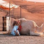Desret Agafay and Atlas Mountains & Camel ride Day Trip From Marrakech - Authentic Experiences and Hidden Gems