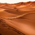 Dessert Tour from Marrakech 4D/3N - The Itinerary Breakdown: What to Expect Each Day