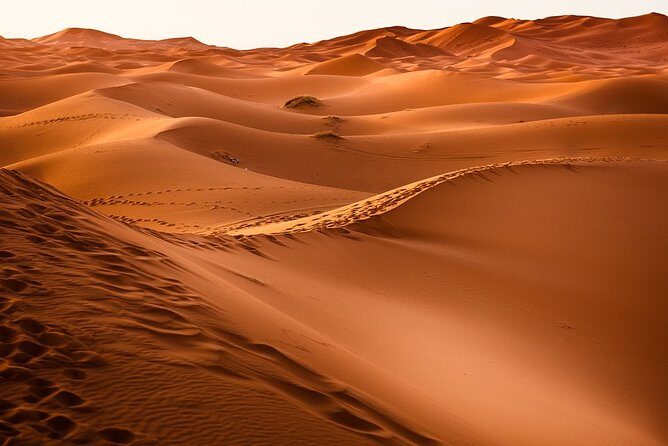 Dessert Tour from Marrakech 4D/3N - The Itinerary Breakdown: What to Expect Each Day