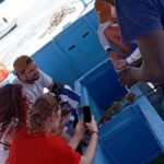Diani Beach: Glass-bottom Boat Ride with Underwater Show - How This Tour Adds Value for Travelers